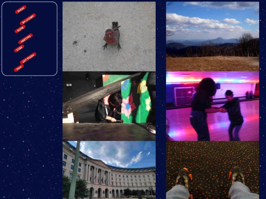 Photos screenshot