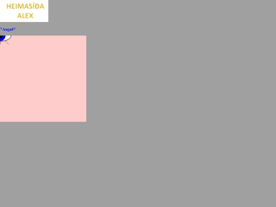verkefni1 screenshot