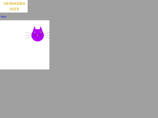 verkefni3 screenshot