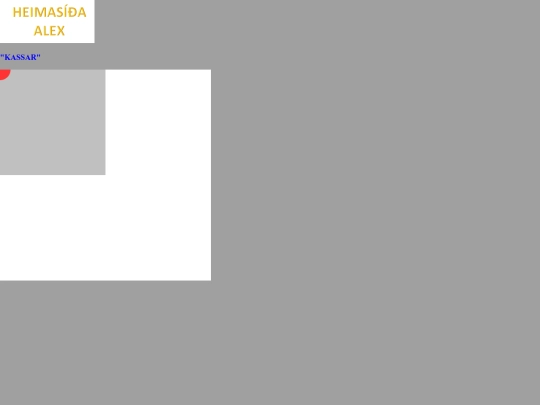 verkefni4 screenshot