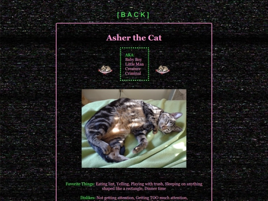 asher screenshot