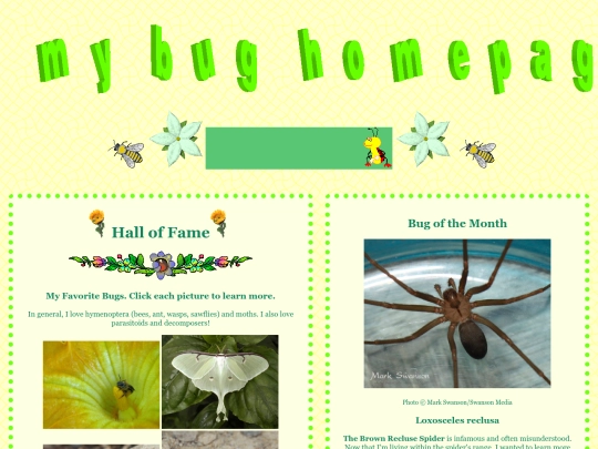 bugs screenshot
