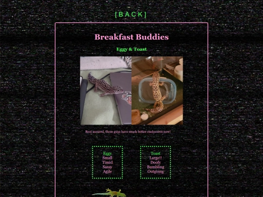 geckos screenshot