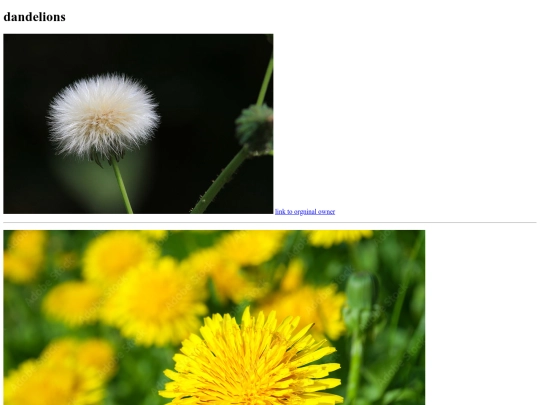 gallery screenshot