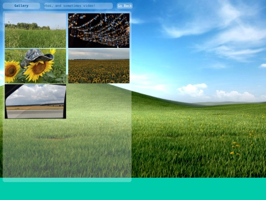 gallery screenshot