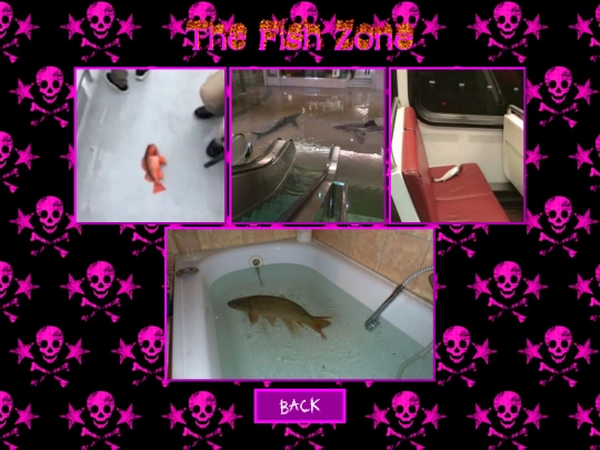 fish screenshot