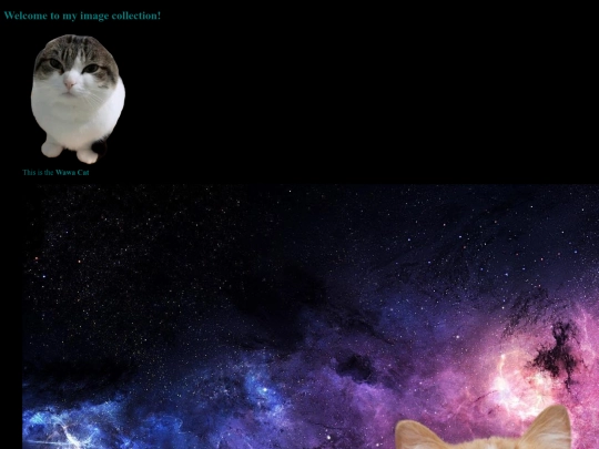 imagecollection screenshot