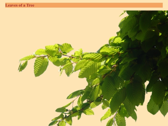 Lab3/Lab3 screenshot