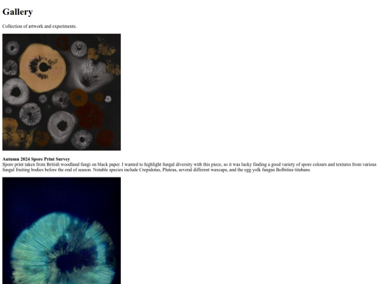 gallery screenshot