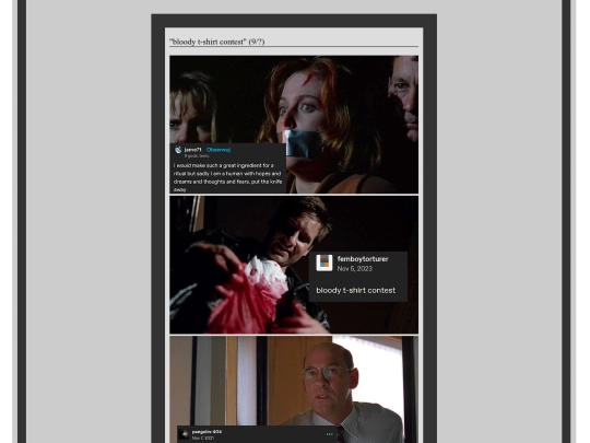 art/gifs/textposts/9-bloodytshirt screenshot