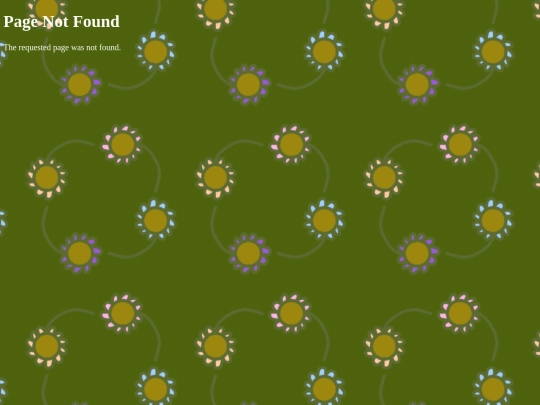 not_found screenshot