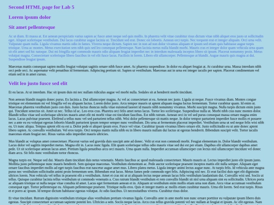 Lab 5/Lab 5-Latin screenshot