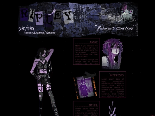 RipleyTest screenshot