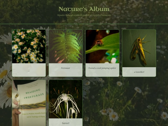 photos screenshot