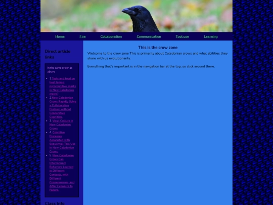 crowzone screenshot
