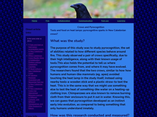 crowzonefire screenshot