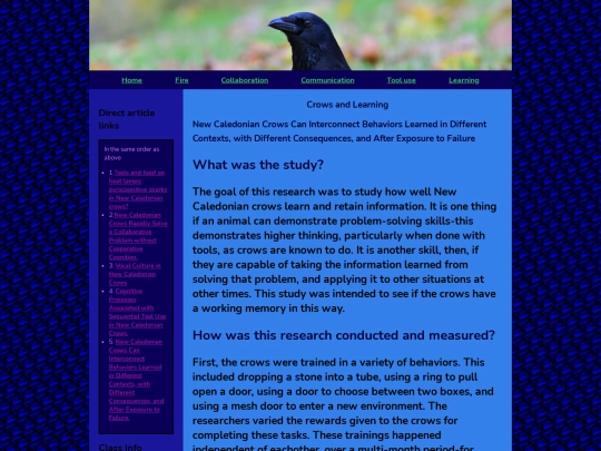 crowzonelearning screenshot