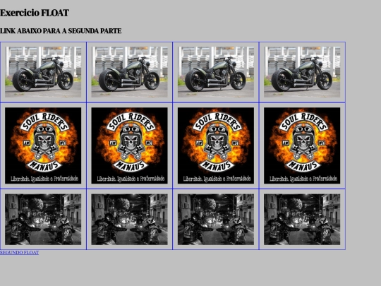 conteudo/21-10/exerciciofloat screenshot