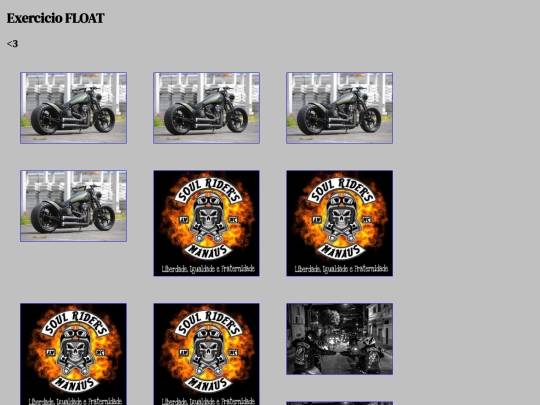 conteudo/21-10/exerciciofloat2 screenshot