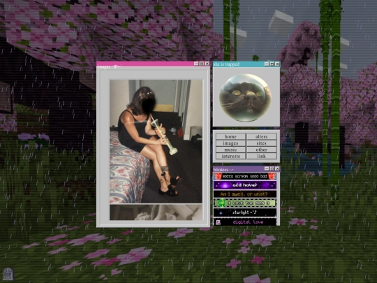 images screenshot