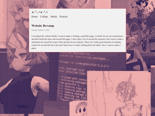 blog/posts/projects/website screenshot