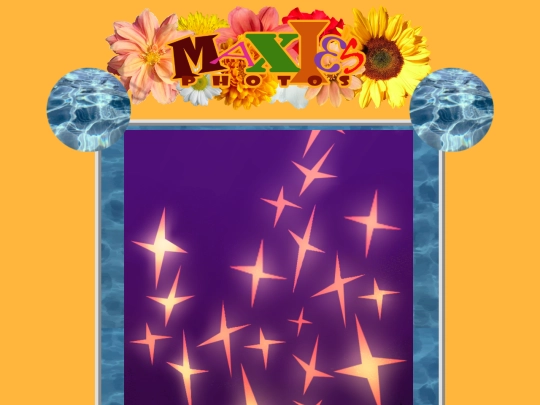 digital art sites/maxie screenshot