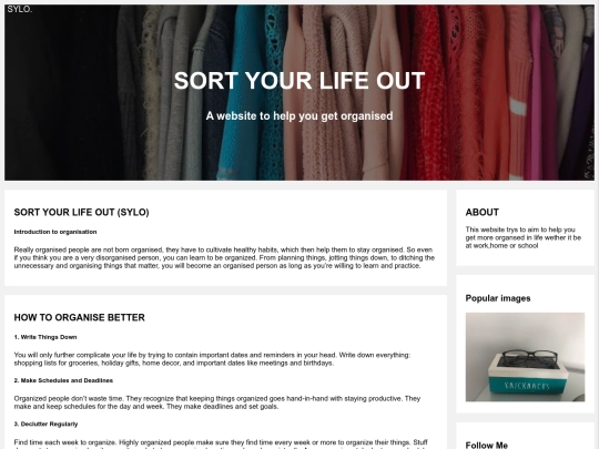 sylo screenshot