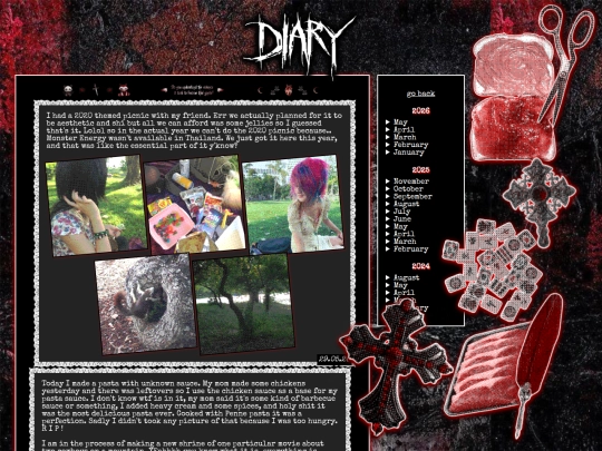 diary screenshot