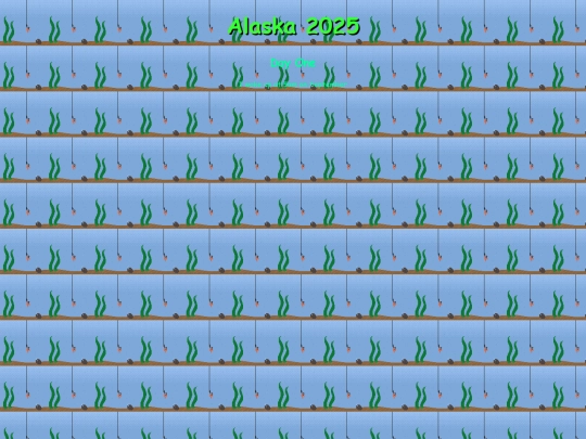 TripReports screenshot