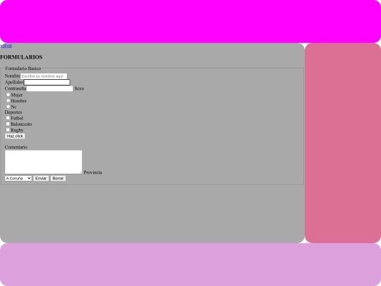 Pag/formularios screenshot