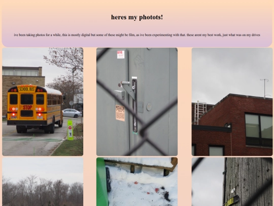 photo screenshot