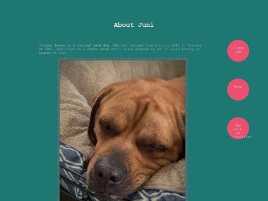 aboutjuni screenshot