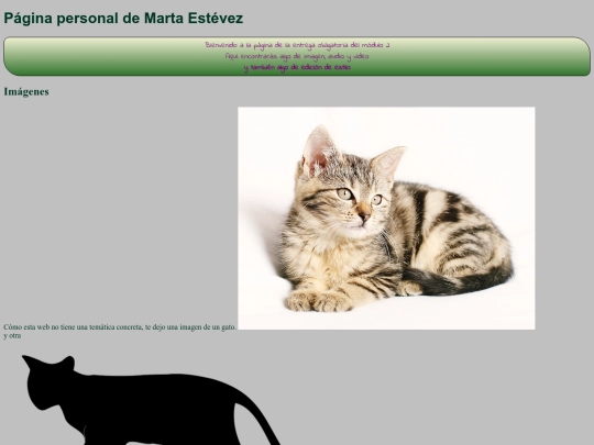 curso_html_2/modulo2/p2p_obligatorio screenshot