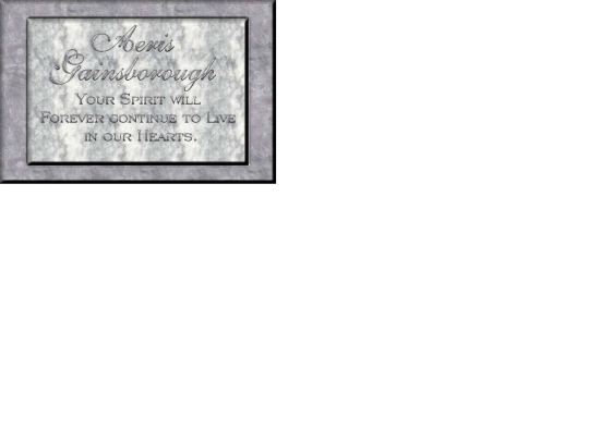 other screenshot
