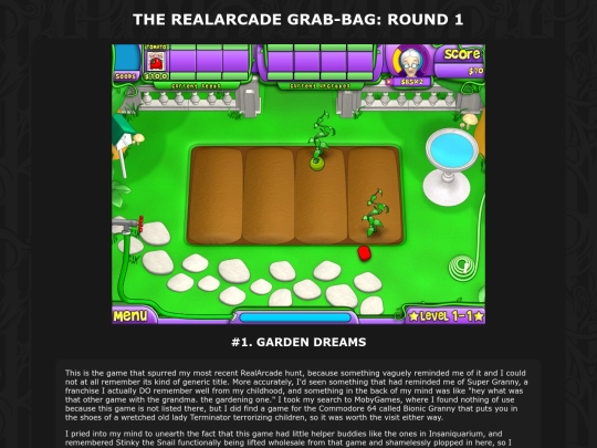 writing/realarcade-round1 screenshot