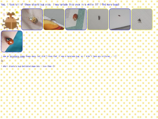 bugs screenshot