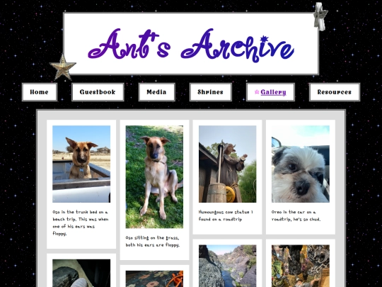 gallery screenshot