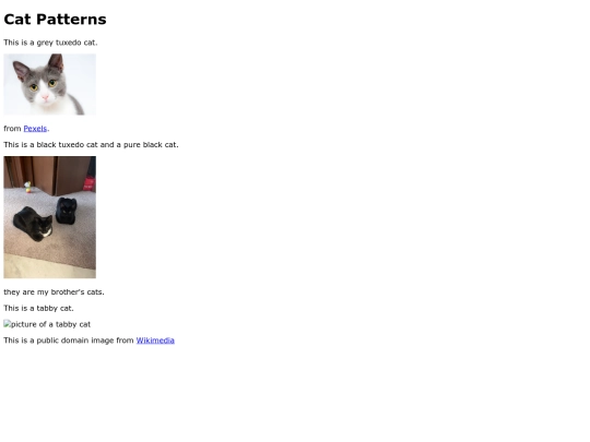 gallery screenshot