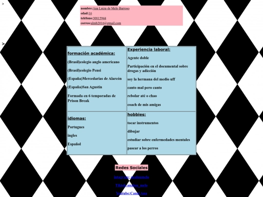 CurriculumVitae screenshot