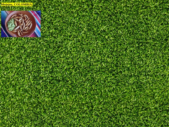 proyectofinal.html/come4 screenshot