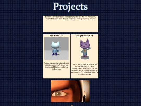 projects screenshot