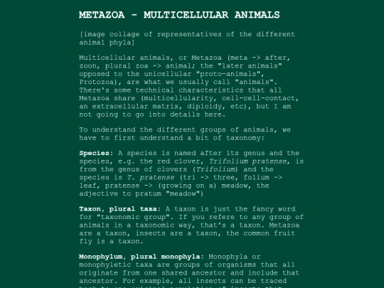 metazoa screenshot
