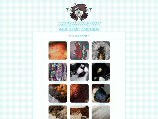 portfolio/photography screenshot