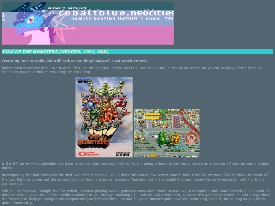 games/lizardgames_1991_kingofmon screenshot