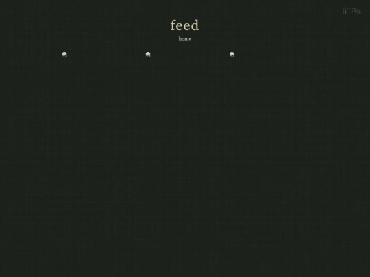 feed screenshot