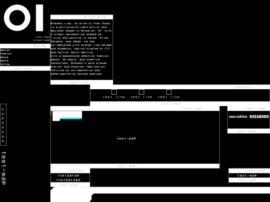 test-site-draft screenshot