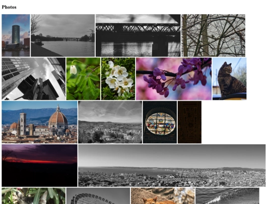 pages/gallery screenshot