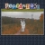  welcome ☆ poplarbark avatar