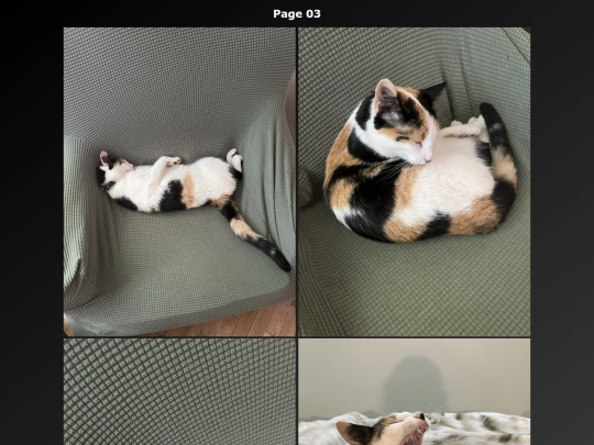 Cat Photo EN/cats_photo_page03_en screenshot