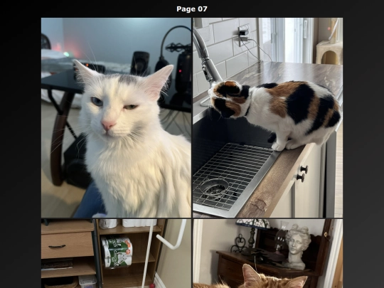 Cat Photo EN/cats_photo_page07_en screenshot
